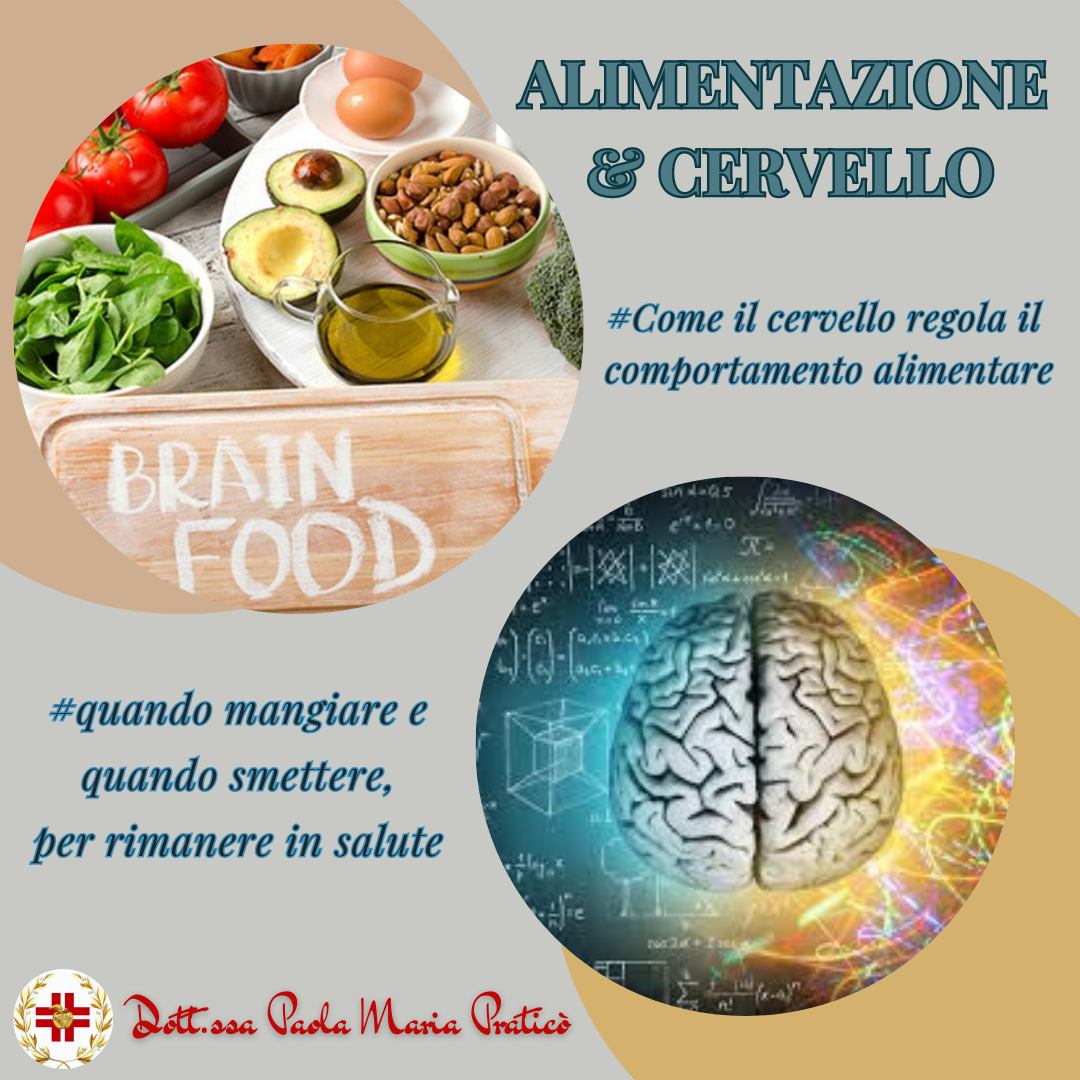 Sapere quando è ora di mangiare e quando smettere è importante per sopravvivere e rimanere in salute. Per questo il cervello è strettamente correlato allo stomaco: l’ormone grelina attiva cellule nervose specializzate in una regione del cervello nota come amigdala centrale. Questa interazione trasmette la fame e le sensazioni piacevoli e gratificanti associate al mangiare. Fonte: Max Planck Institute for Biological Intelligence
